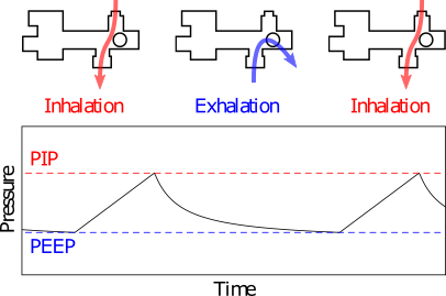 Pressure cycle of a ventilator during inhalation and exhalation